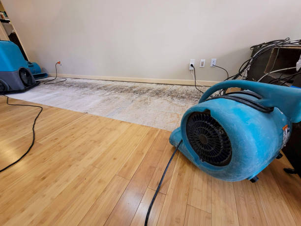 Professional Structural Drying technician working in Pleasant Prairie, WI